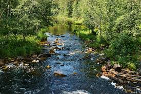 Карелия: Страна озер и северной природы