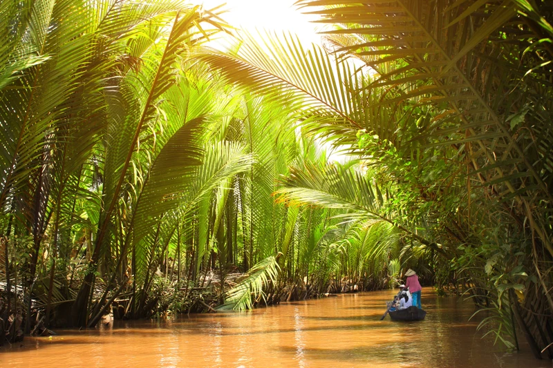 Дельта Меконга (Mekong Delta)