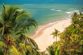 Гоа: Пляжи, природа и португальское наследие