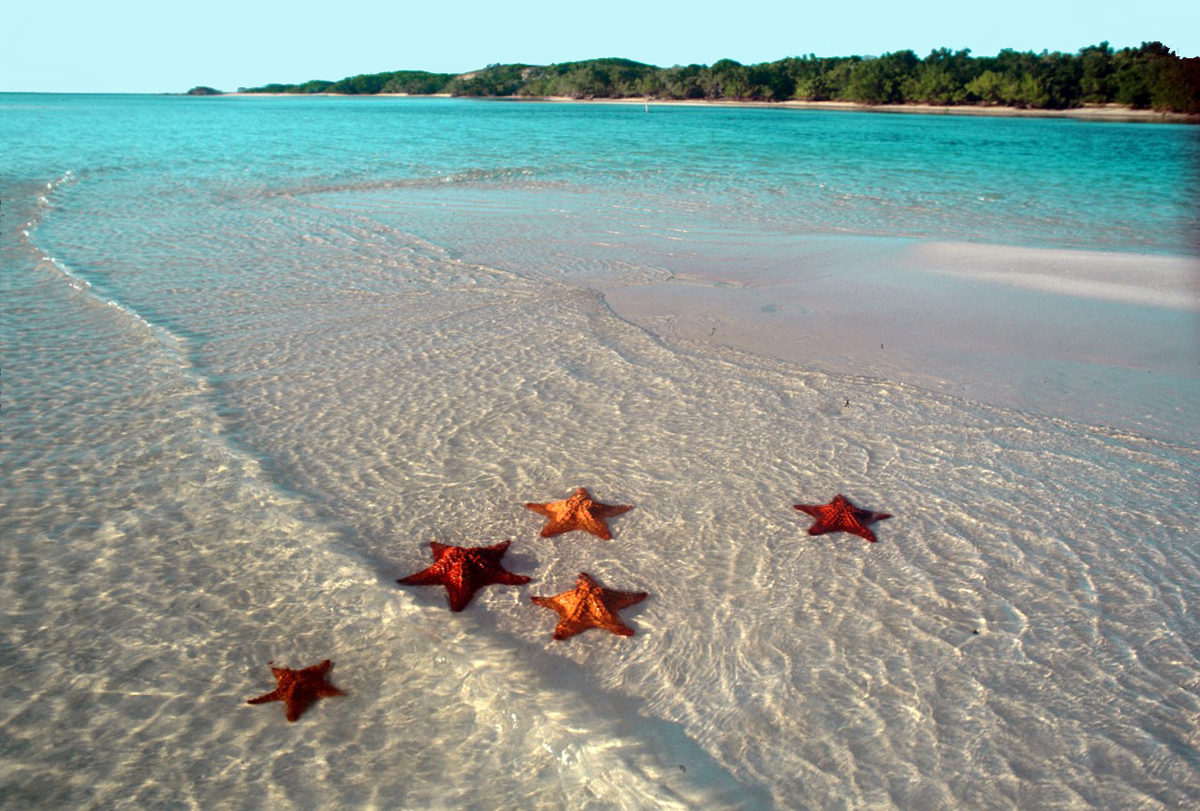 Кайо-Ларго и Кайо-Коко: Рай для дайверов и любителей пляжей