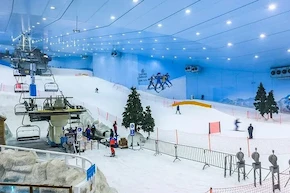 Горнолыжный курорт Ski Dubai в торговом центре "Молл Эмиратов"